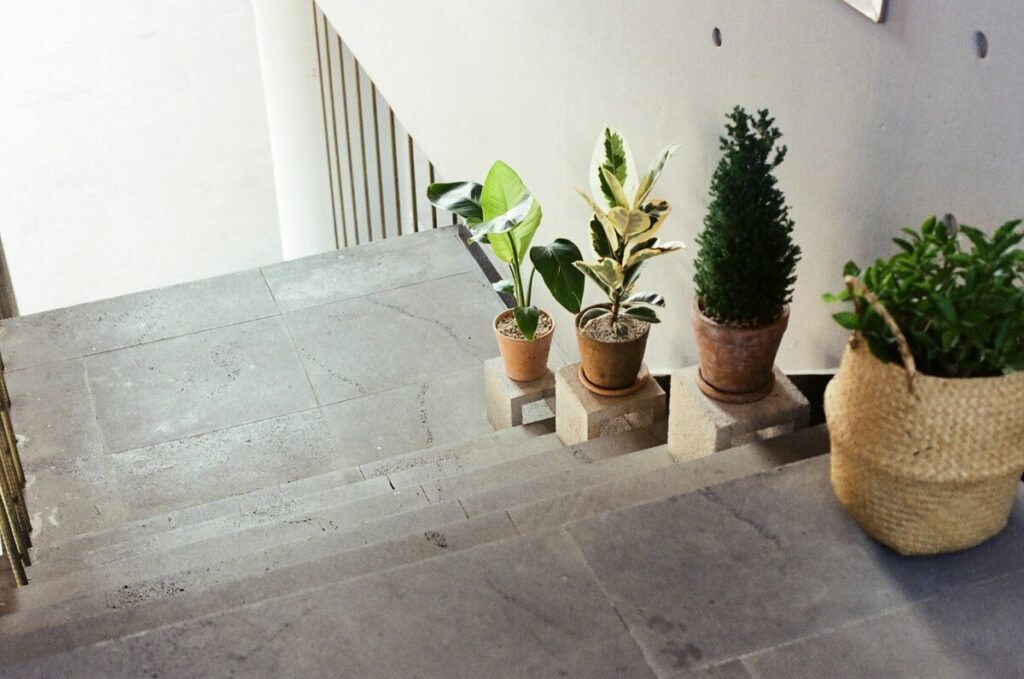 Decorar sala de estar sin desorden - Plantas e iluminación | HogarVivo".