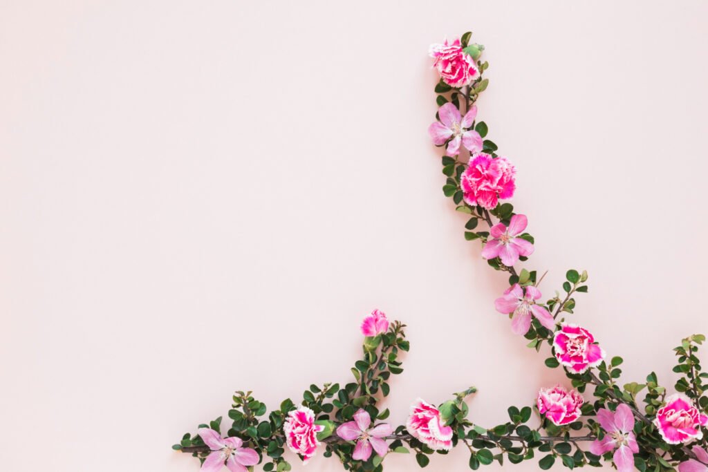 rosas trepadoras