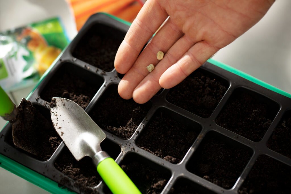 Sustrato ideal para plantas secas: mezcla de fibra de coco y perlita