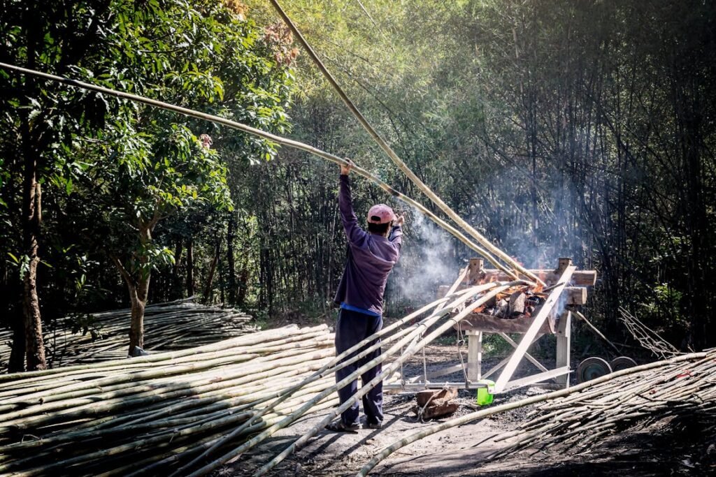 Proceso de cosechado y fabricación de alfombras de bambu y bambú | HogarVivo