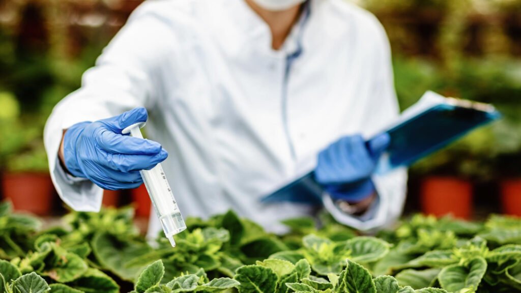 Control biológico: mariquitas como aliadas contra pulgones | HogarVivo