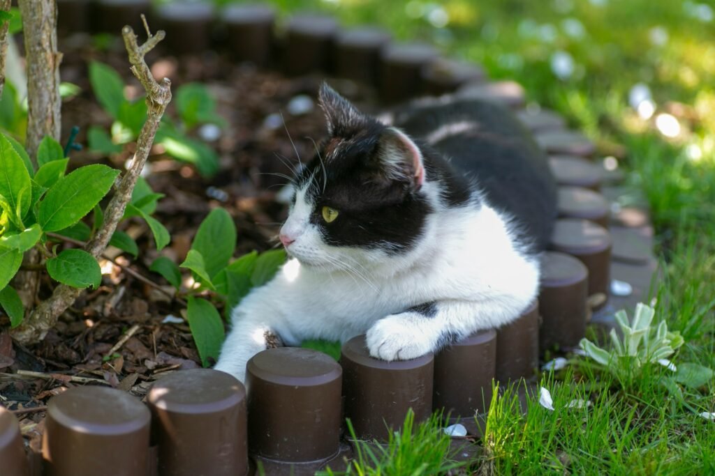 un gato encima de un montón de macetas