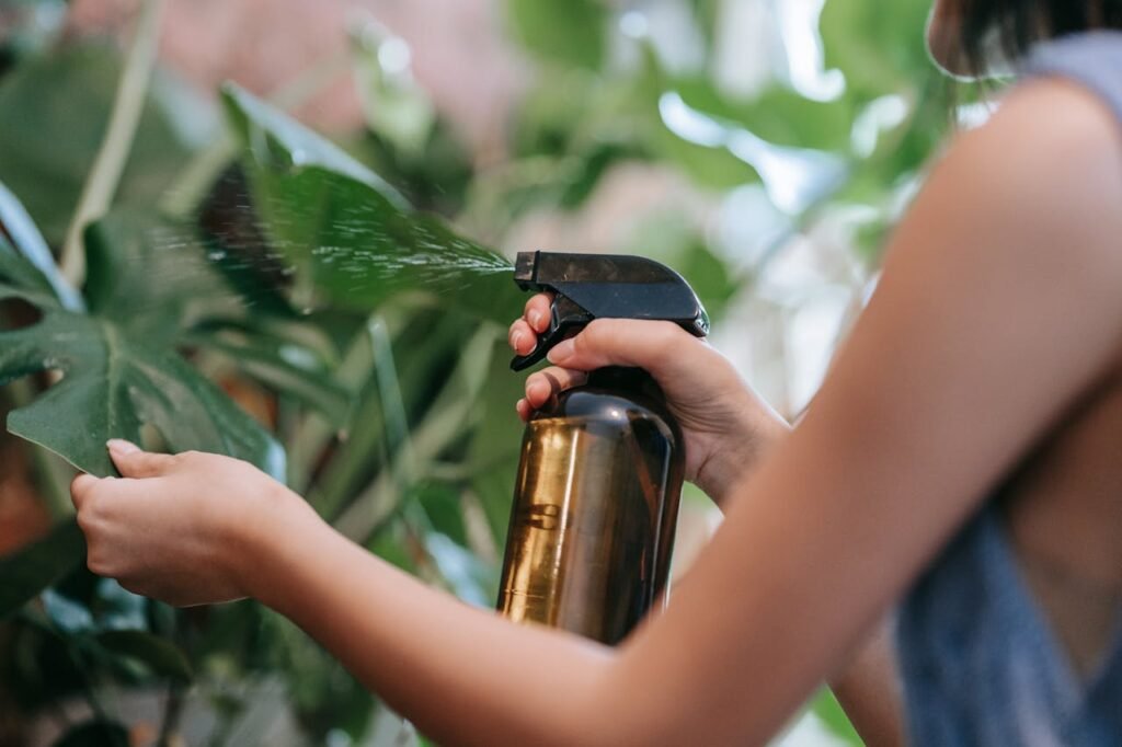 Hidratacion para plantas cecas