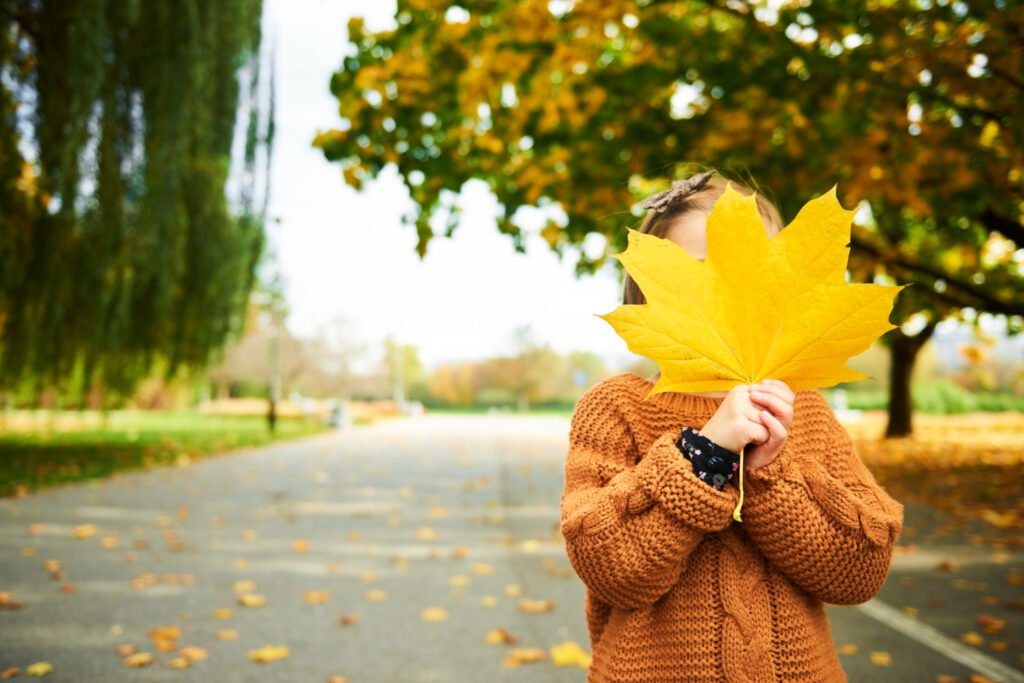 temporada de otoño para la rotación de cultivo de huertos urbanos