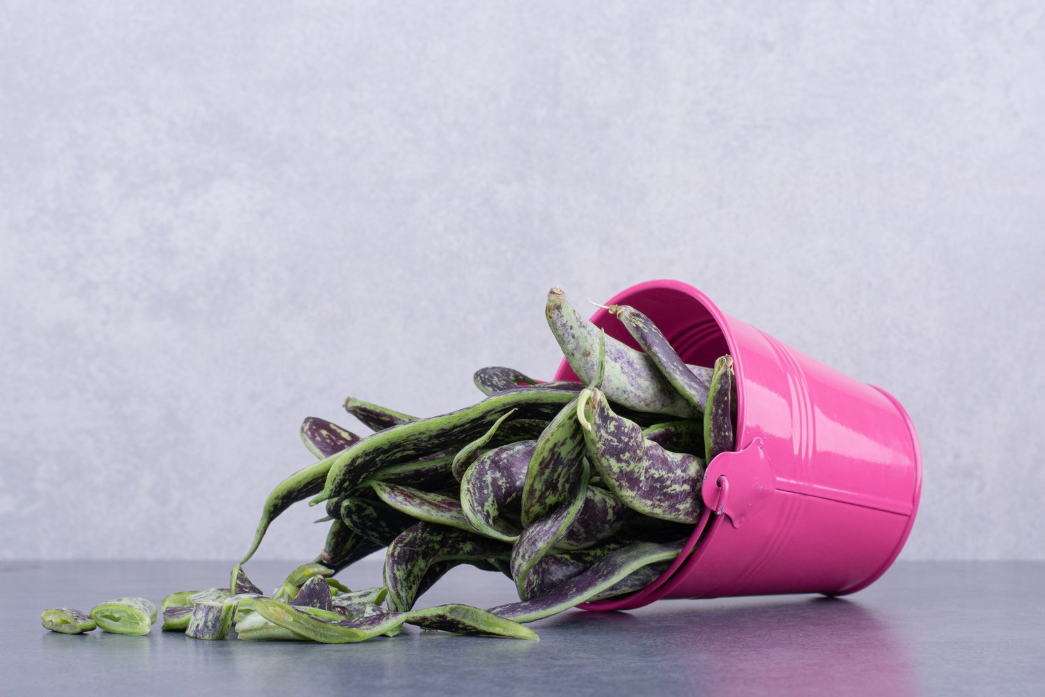 Cómo revivir una planta de interior seca: comparativa antes y después | HogarVivo