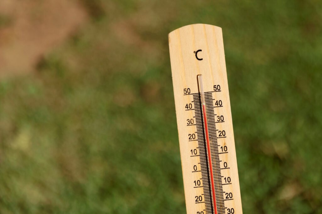 temporada de verano para la rotación de cultivo de huertos urbanos