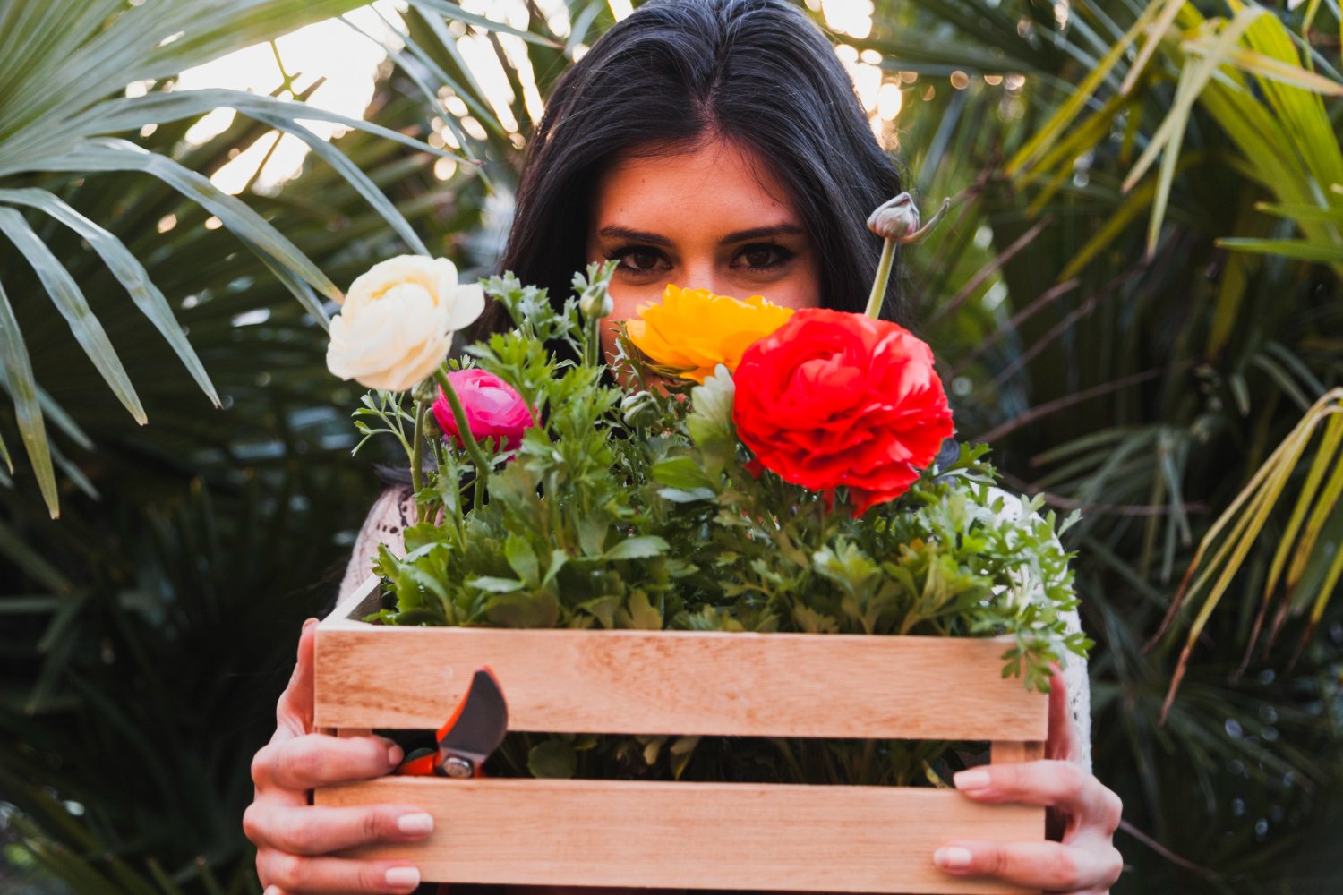 Guía experta de flores primaverales: cultivo, cuidados y diseño vibrante | HogarVivo