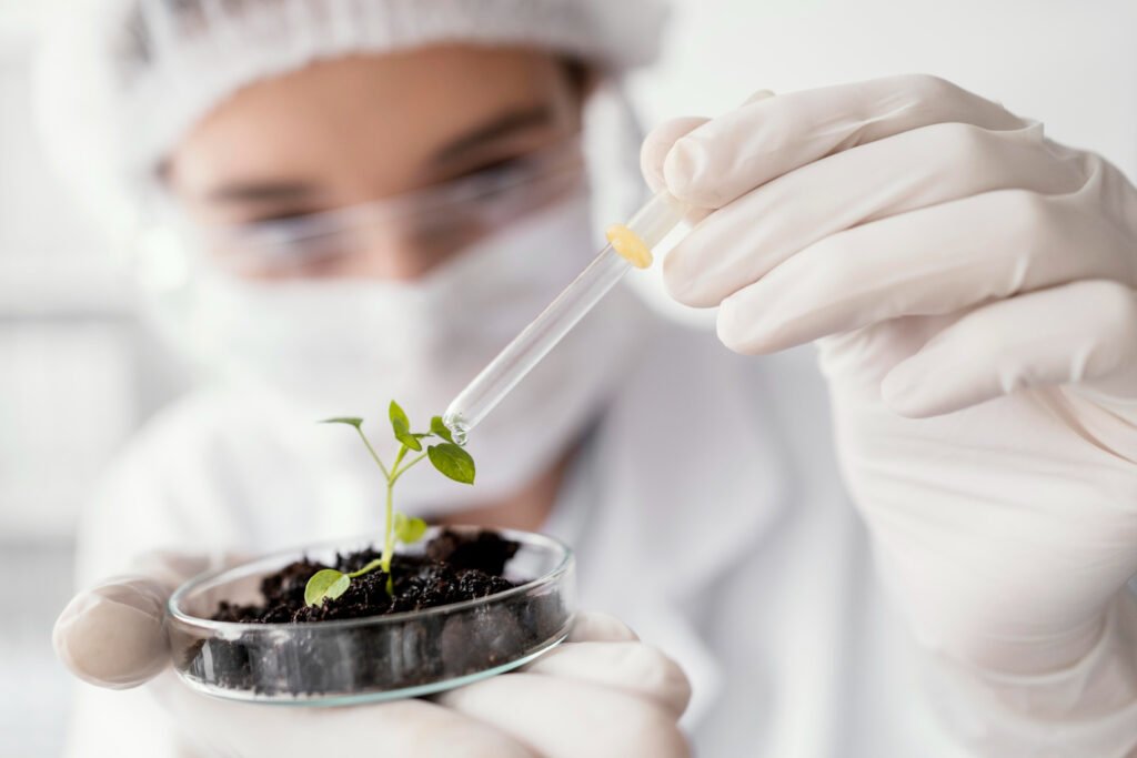 Sistemas de riego y nutrición correcta para la selección de plantas primaverales