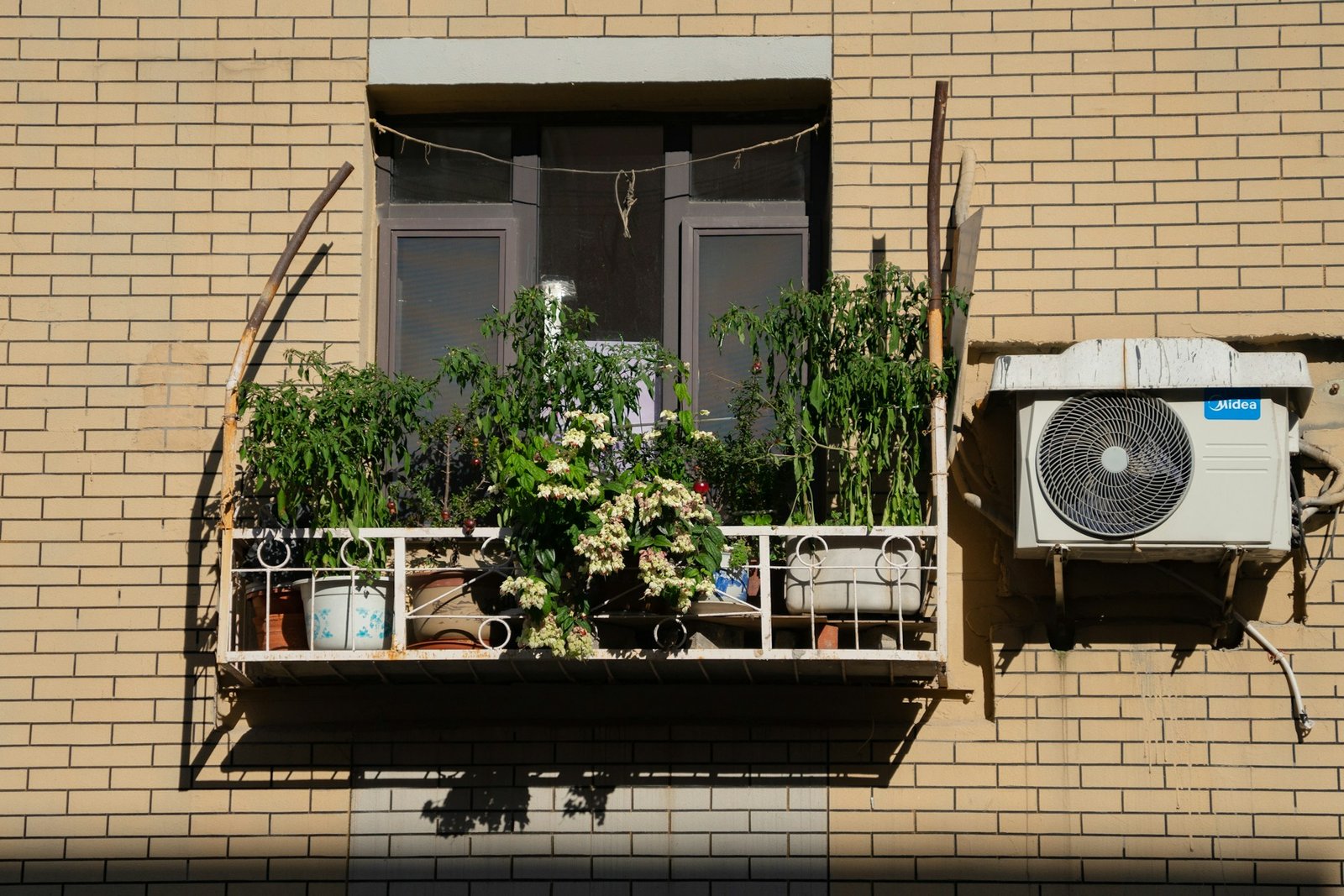 Guía paso a paso para hacer un invernadero casero en balcón | HogarVivo