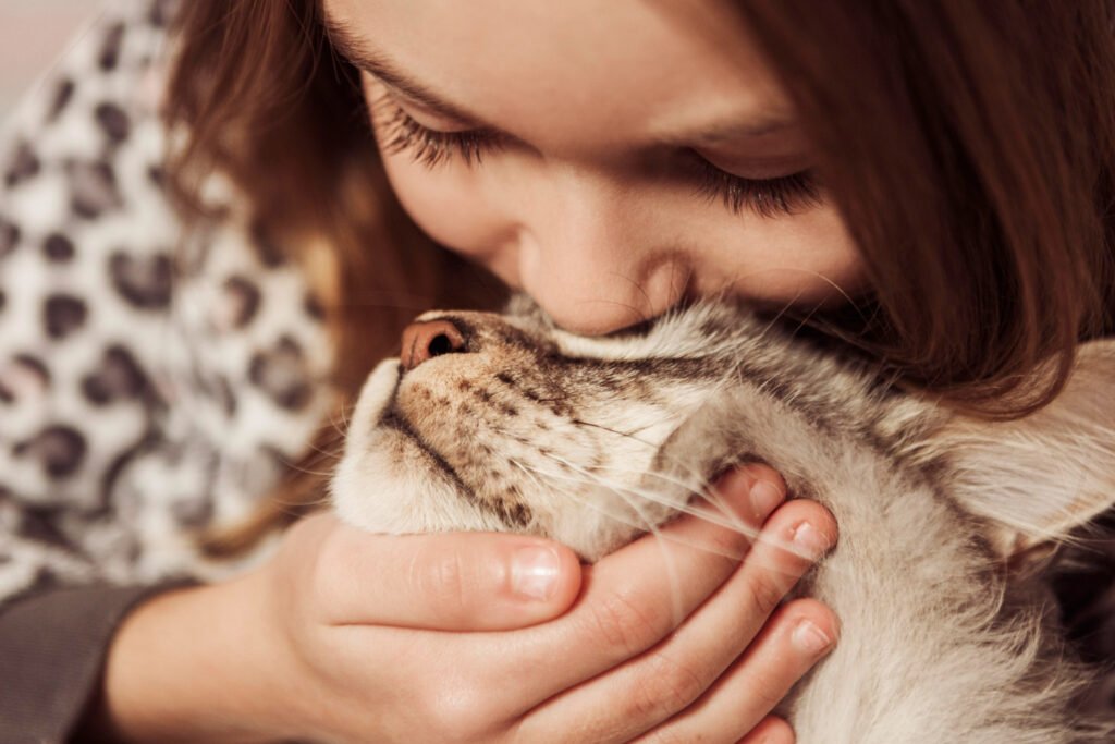Beneficios del ronroneo: reduce estrés humano en 10% y acelera curación en gatos.