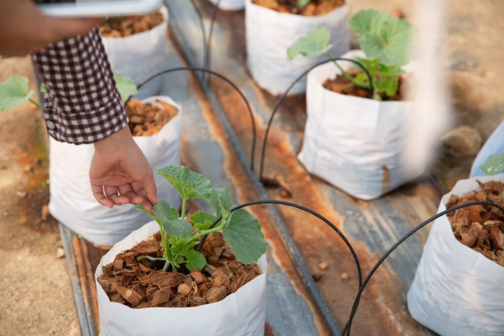 sistema de riego por goteo para las plantas de tu jardin mediterraneo