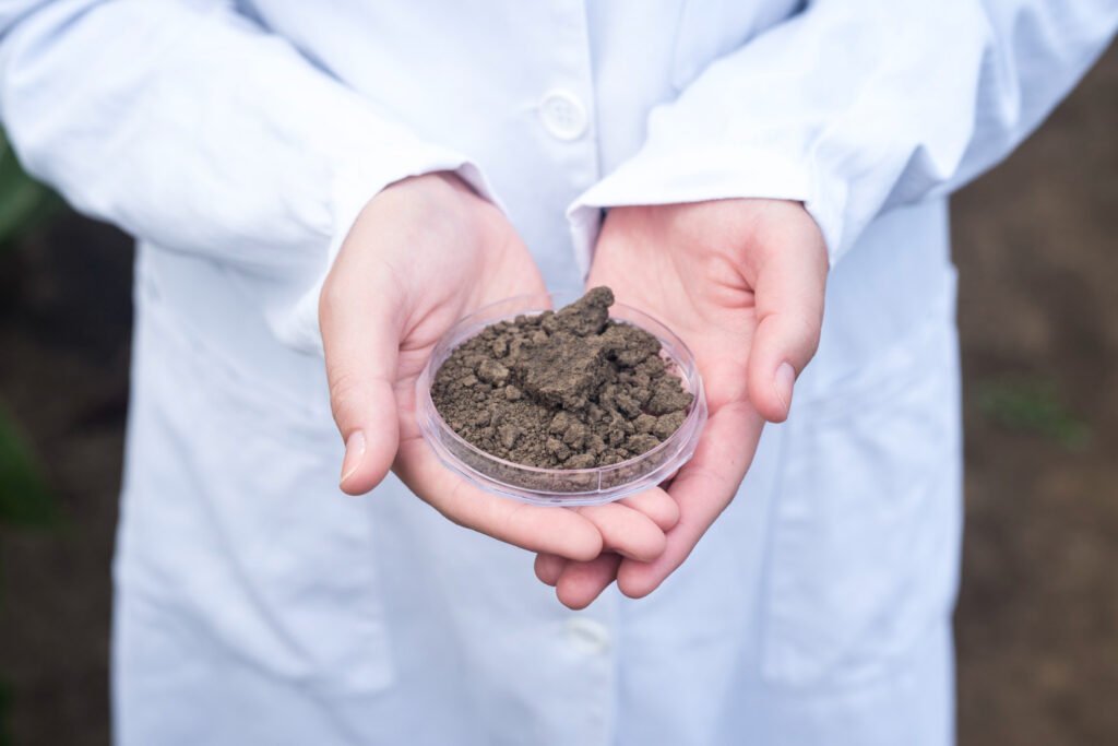 Diagnóstico suelo seco: identifica falta de agua, compactación o exceso de riego