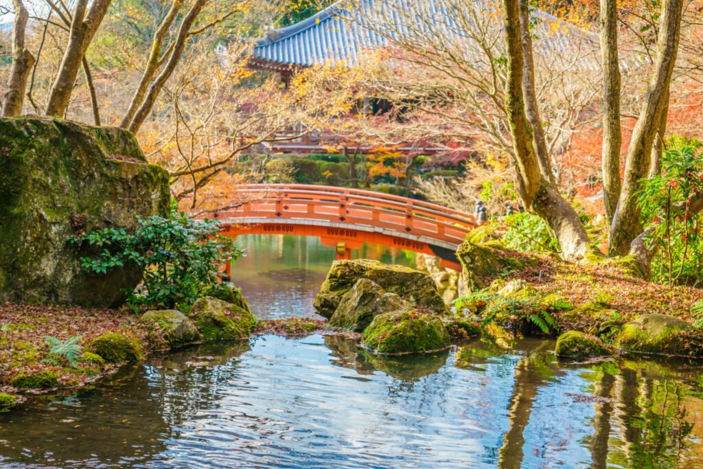 Transformación acuario a estanque japonés: antes vs. después con koi