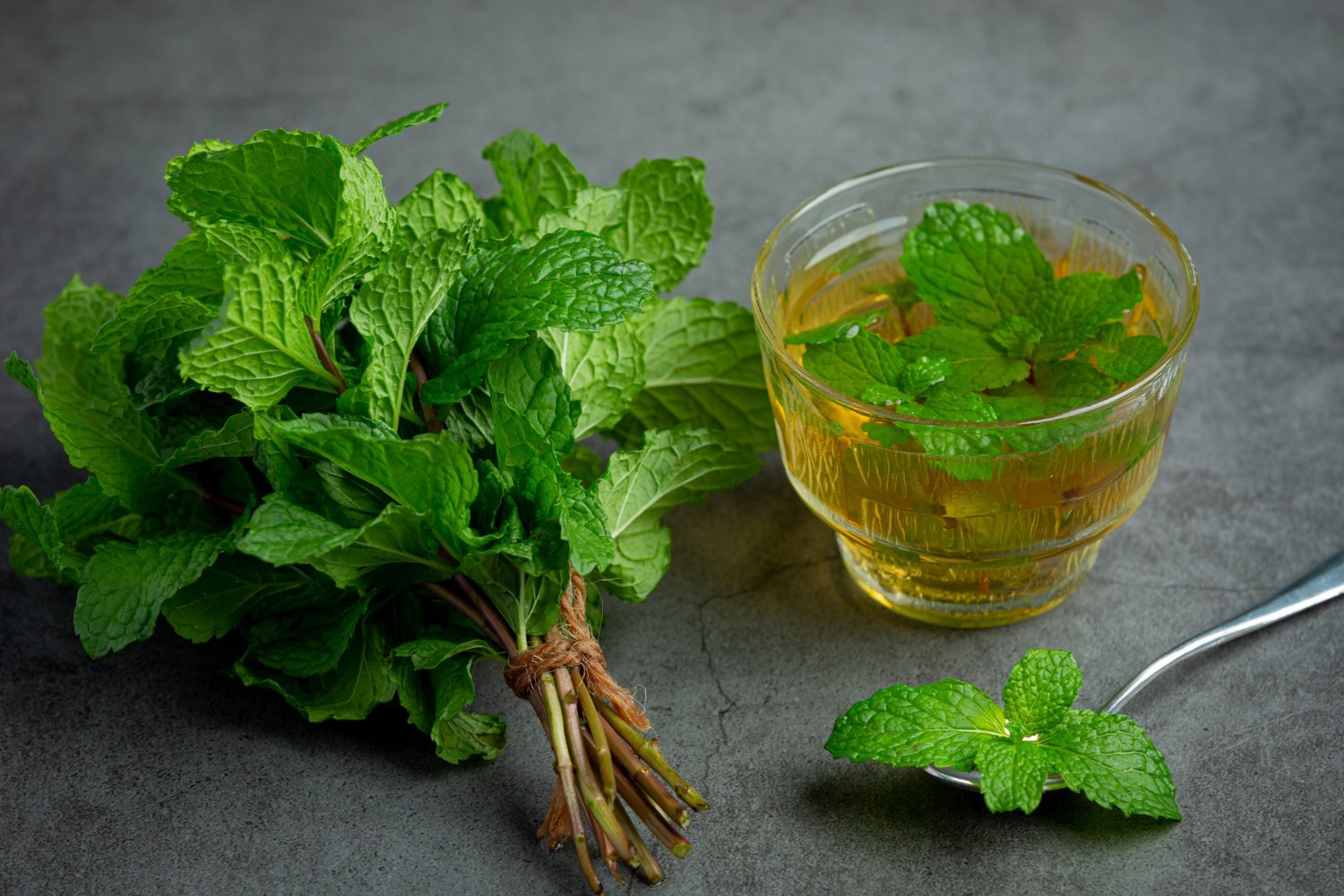 Beneficios de la hierba buena: cultivo, infusiones y recetas saludables