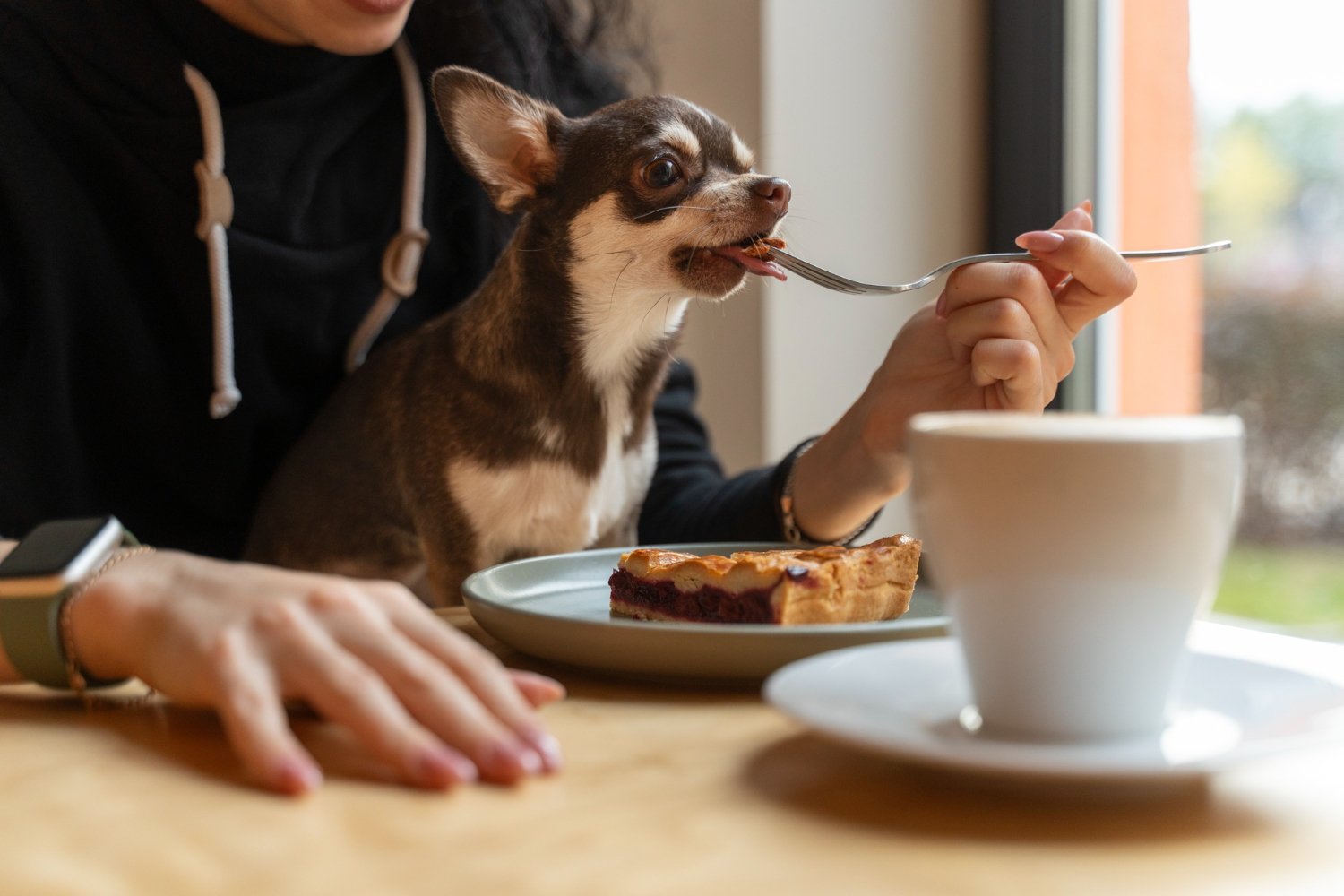 Guía esencial: qué comen los perros para una dieta saludable con ingredientes caseros