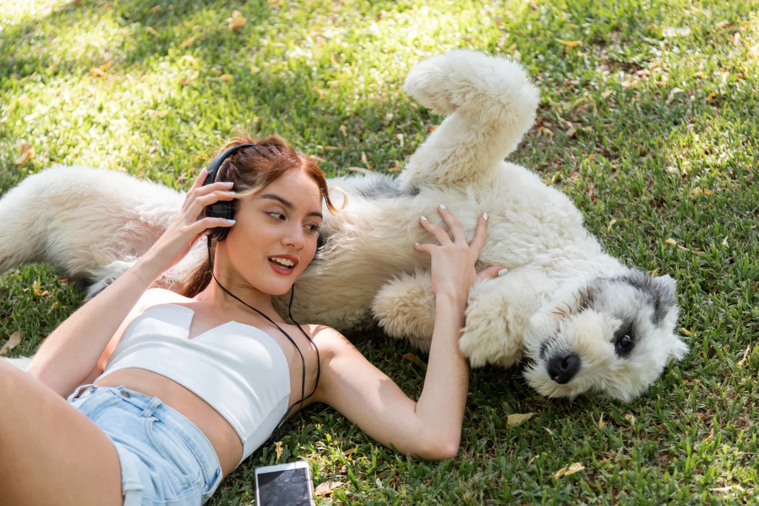 Guía para crear un jardín pet friendly seguro y bonito para tus mascotas