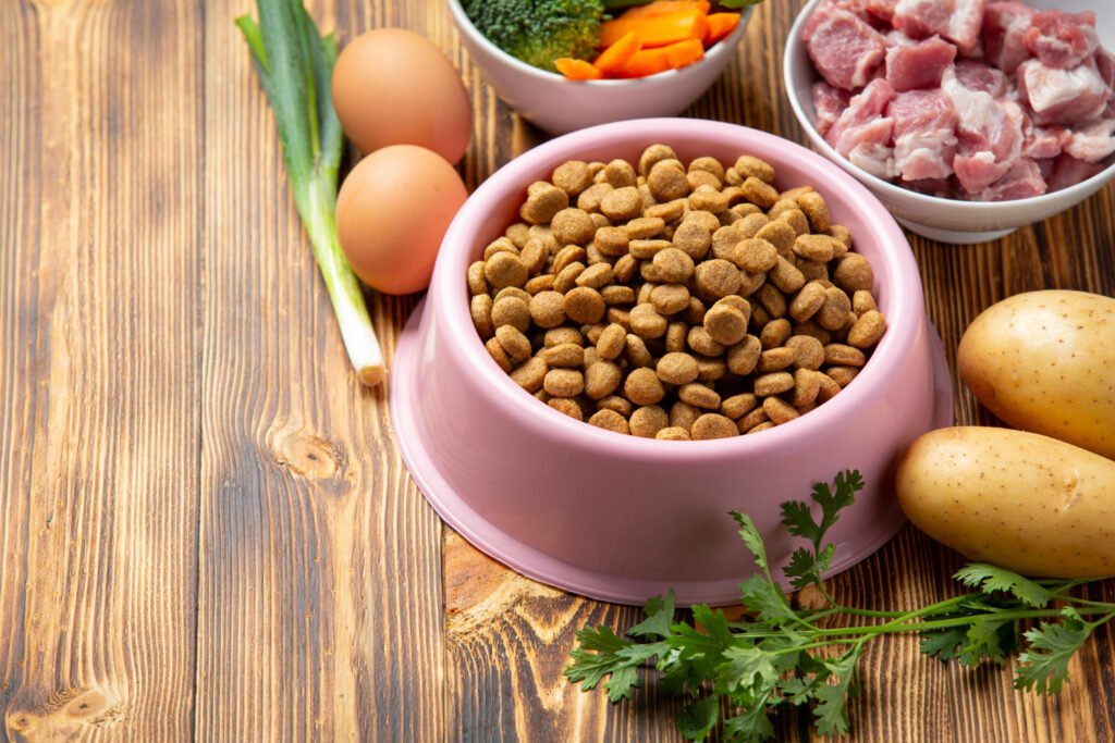 Pienso, húmedo, BARF o casero: comparativa de dietas para perros según sus necesidades