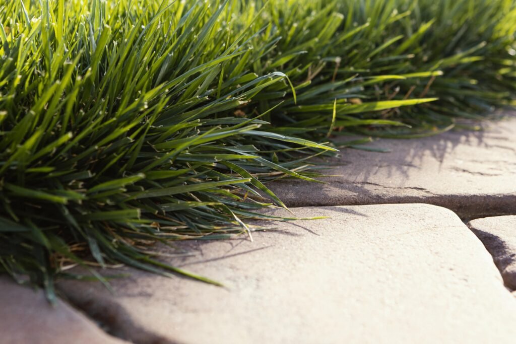 cubiertas de cesped junto con grava, base de los jardines sostenibles y de bajo mantenimiento