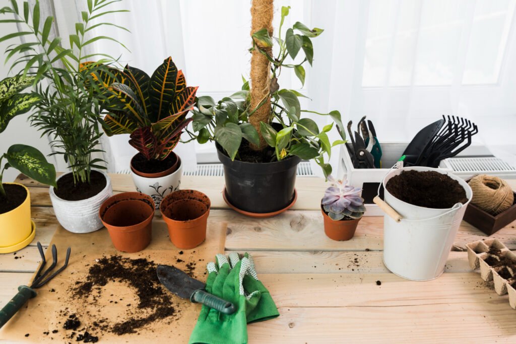 Preparando diferentes tipos de de tierra para macetas con compost.