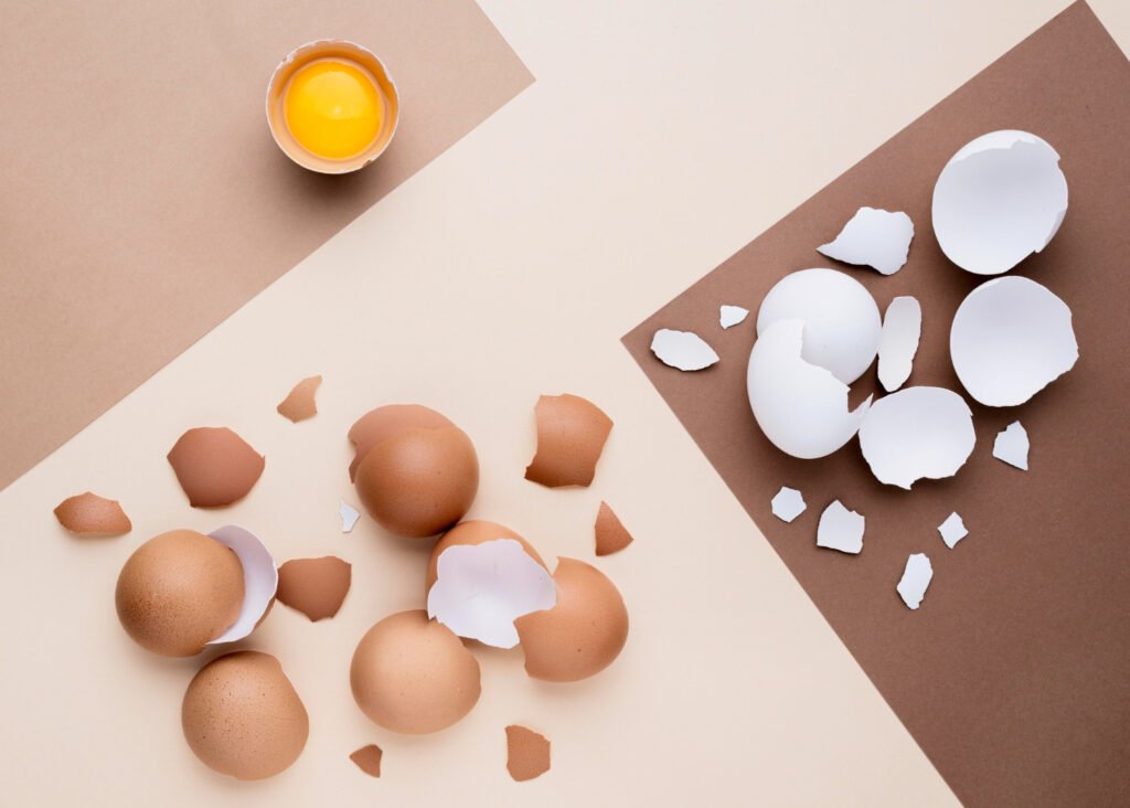 cascaras de huevo blancas y marrón listas para triturar y preparar un fertilizante para orquideas casero