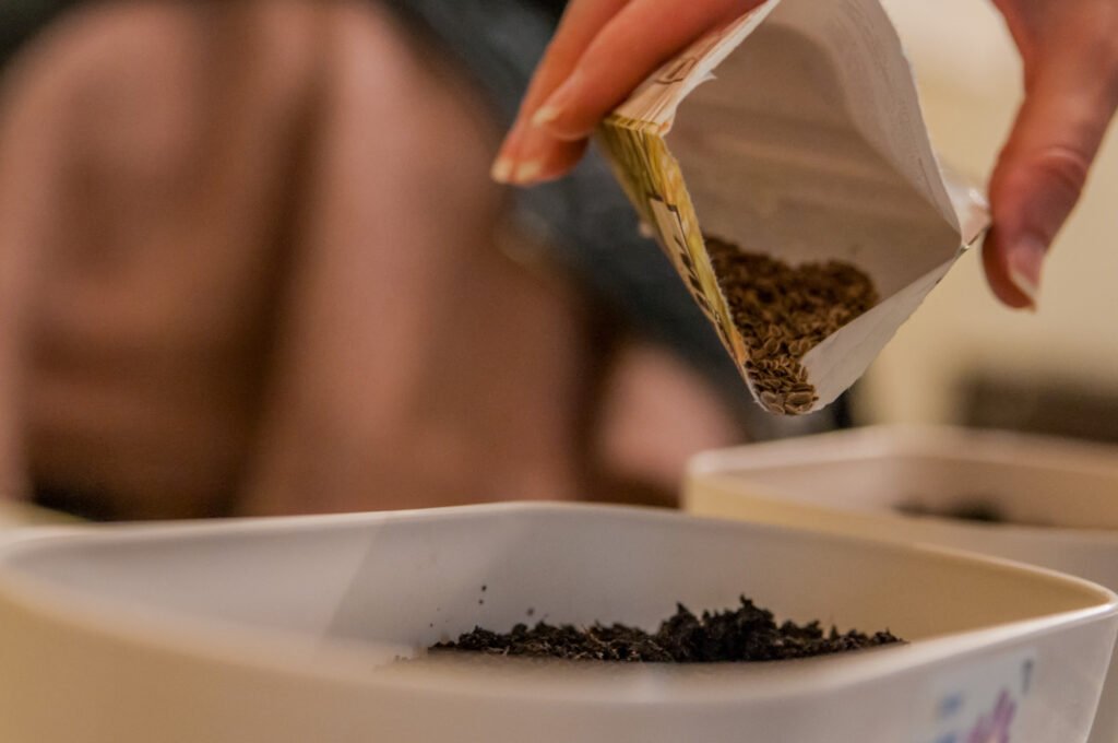 Inserción de gránulos en la tierra de una maceta — fertilizante para plantas de interior de liberación lenta para nutrición sostenida.