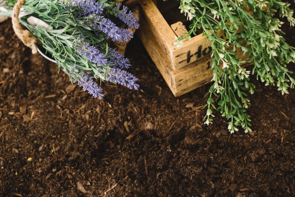 jardinera sostenible con plantas aromaticas (lavan, tomillo etc)