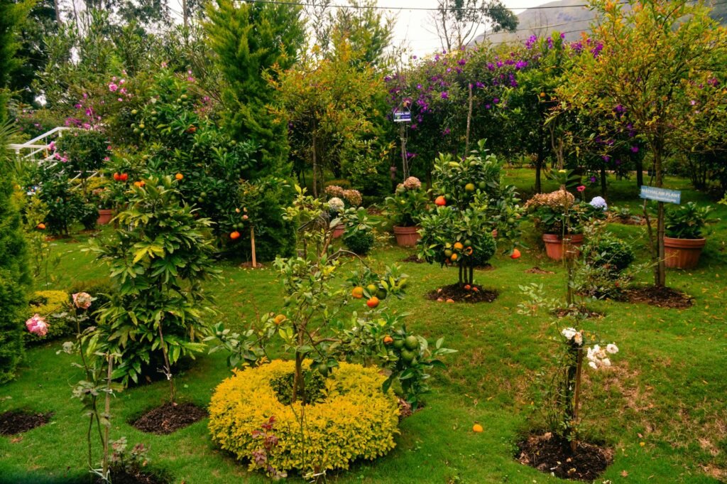 jardín sostenible y de bajo mantenimiento en casa