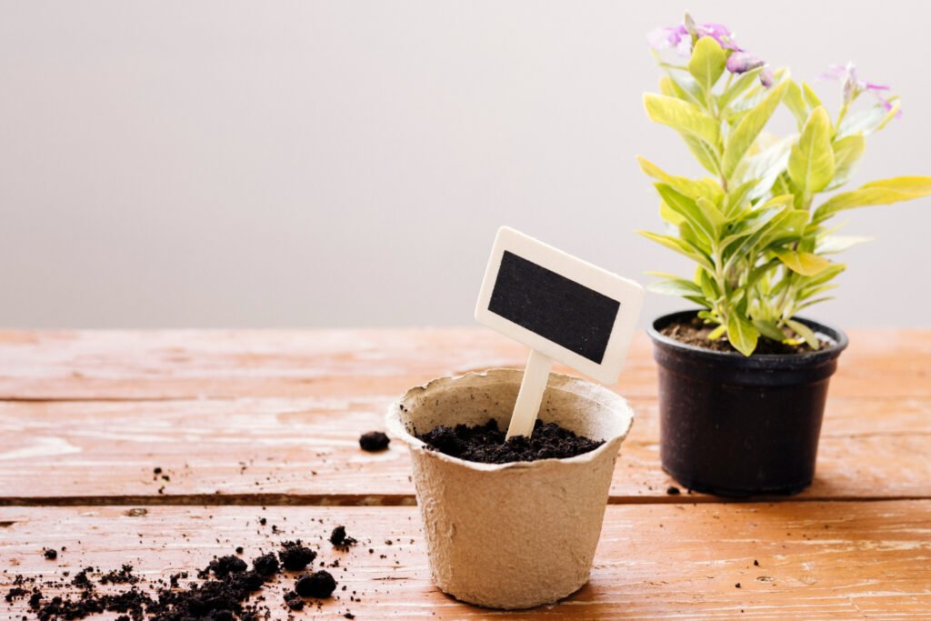 Maceta biodegradable con tierra en semillero ejemplo práctico de de una maceta con compost.