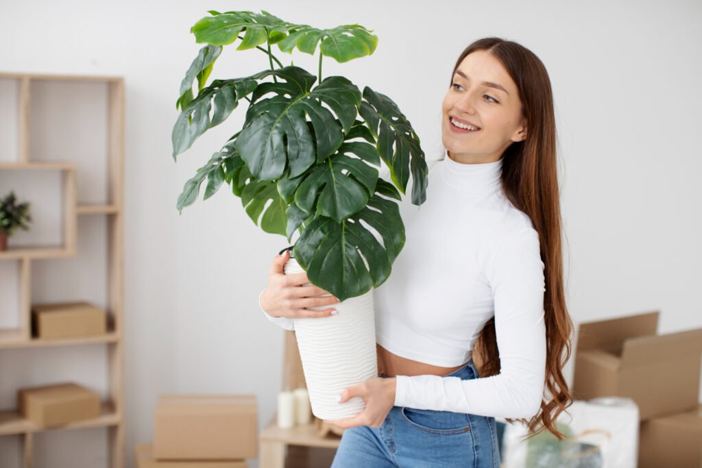 mujer con suéter blanco sosteniendo una Zamioculca (una de las plantas pequeñas de interior por excelencia) dentro de una maceta blanca.