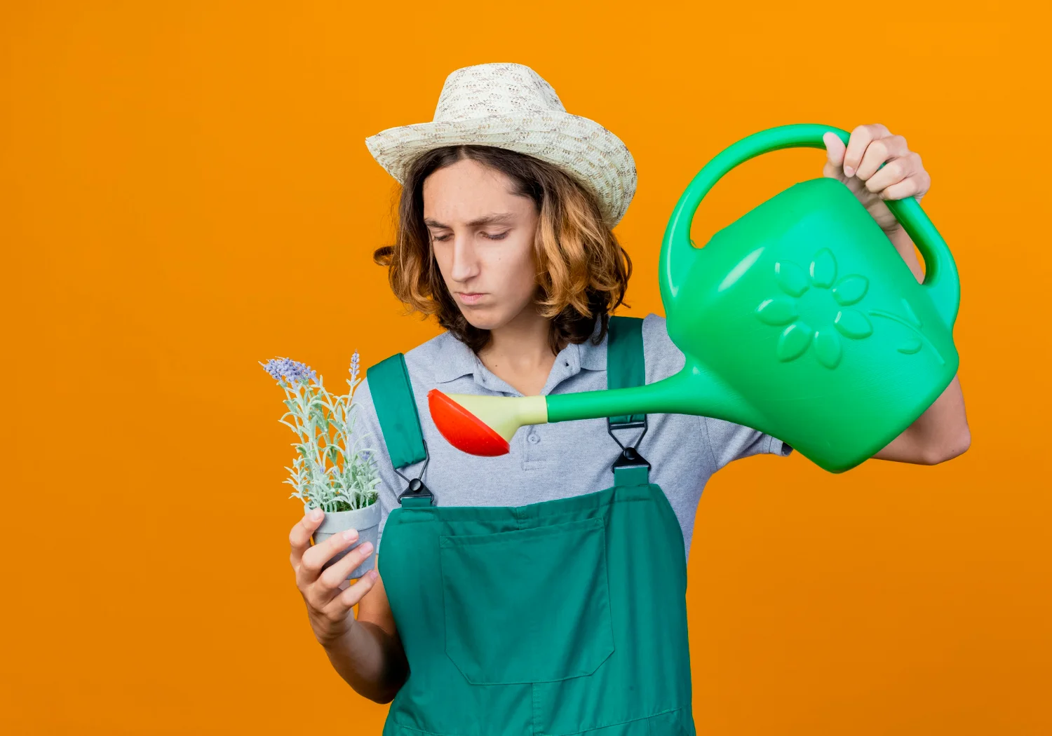 jardinero pensando porque los cuidados que aplica en sus plantas de interior no funcionan