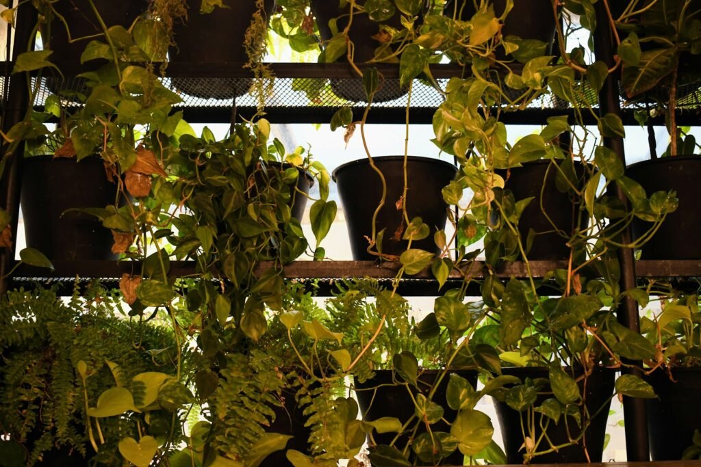 Plantas para  huertos verticales hechos en casa puestas sobre un estante.