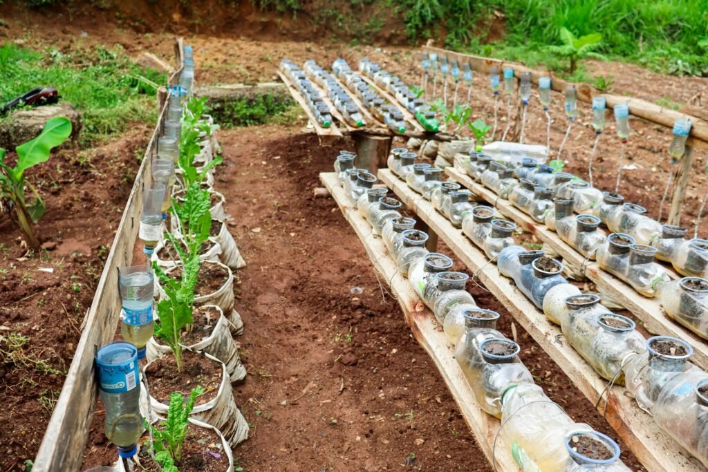 sistemas de riego caseros con botellas para plantas en casa 